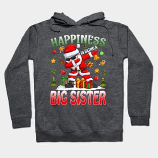 Happiness Is Being A Big Sister Santa Christmas Hoodie